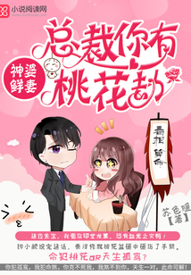 总裁你有桃花劫TXT