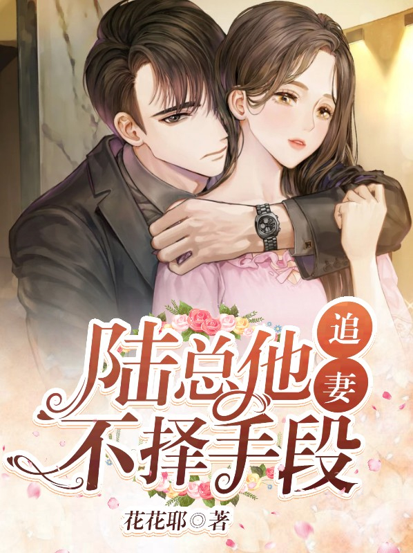 小说陆总追妻路漫漫免费阅读