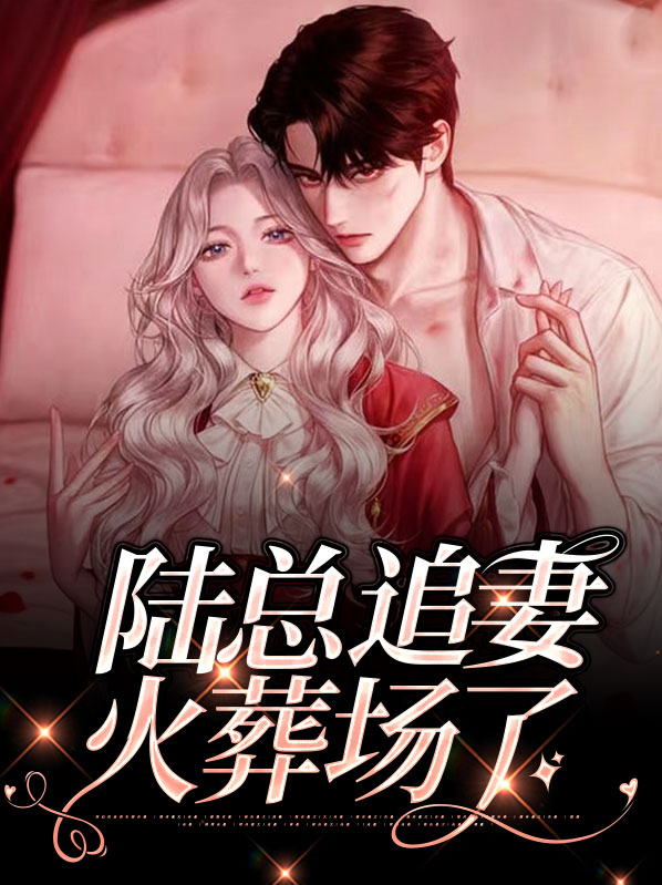 陆先生追妻火葬场内容