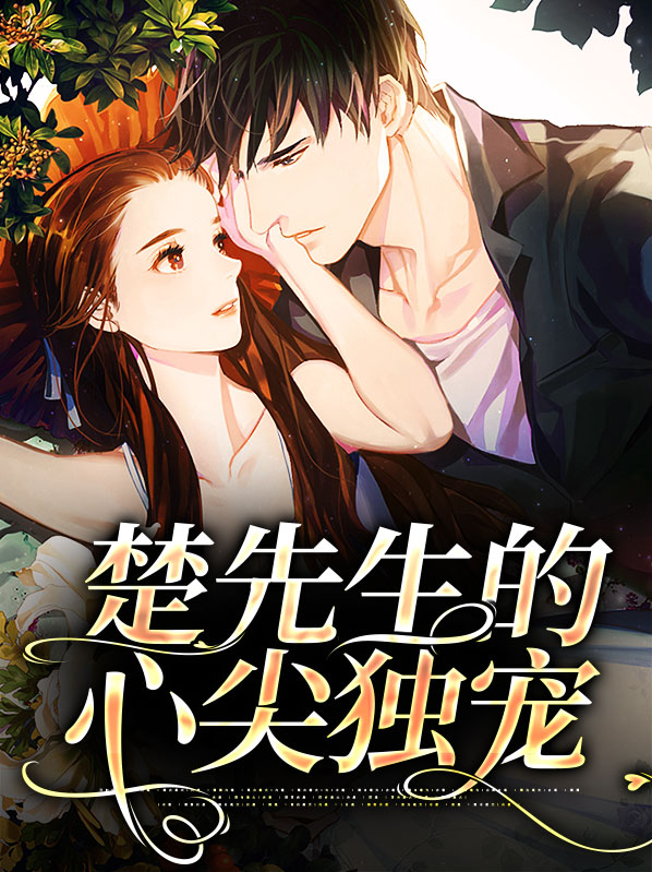 楚先生的心尖宠小说