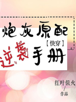 炮灰原配逆袭手册
