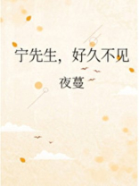 宁先生,好久不见