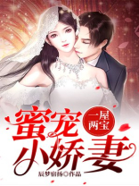 一屋两宝:蜜宠小娇妻 辰梦宿扬