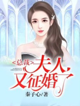总裁夫人又征婚了免费阅读1234集