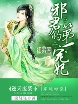邪君的第一宠妃百度云