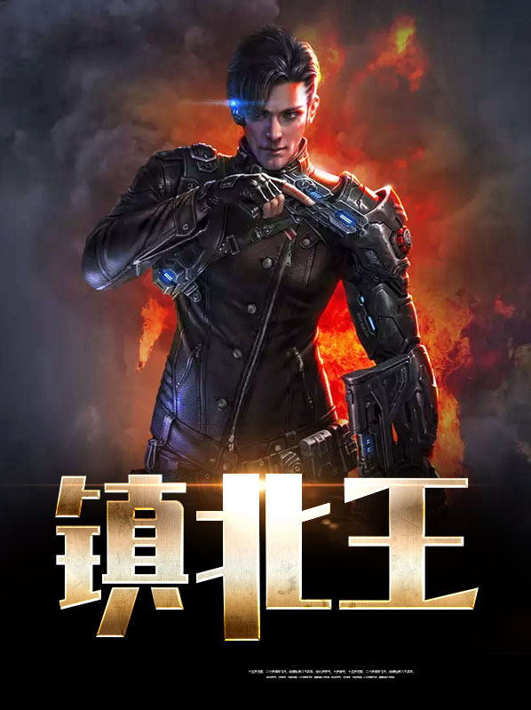 镇北王关宁全文免费阅读