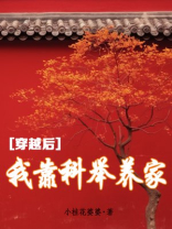 穿越后我靠科举养家