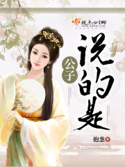 公子说的是讲什么