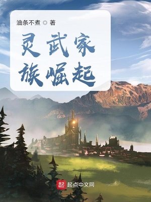 灵武家族崛起类似小说