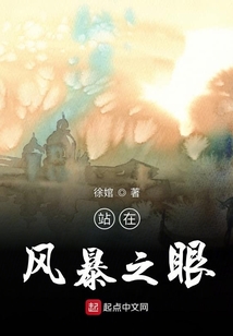 风暴之眼最强阵容