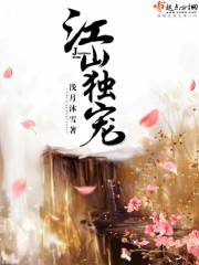 小说:江山