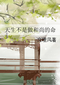 天生不是做和尚的命无防盗