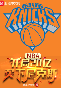 nba开局20亿买下尼克斯TXT