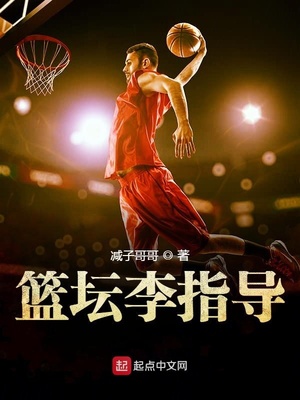 篮坛李指导 小说