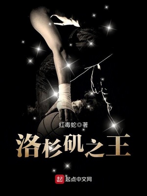洛杉矶之王TXT下载