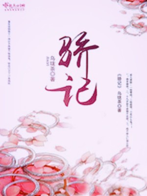 骄记小说如何