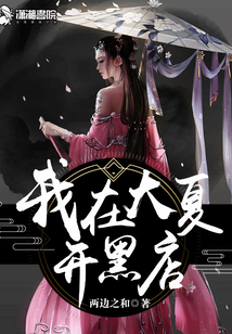 我在大夏开黑店剧情两边之和