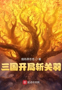 三国开局斩关羽笔趣阁