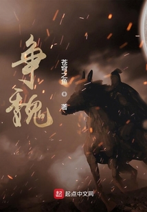 争魏无防盗