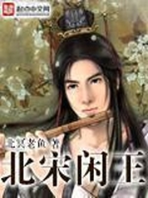 北宋闲王 小说
