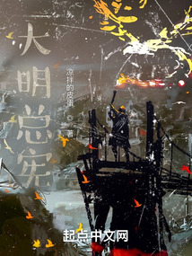 大明总宪免费阅读