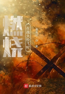 战火纷飞的意思解释