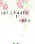 [足球]这个裤袜很阳间
