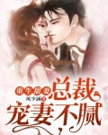 重生甜妻：总裁宠妻不腻