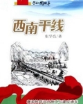 西南干线：襄渝铁路设计施工与建成通车