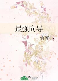 最强向导