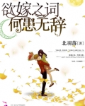 欲嫁之词何患无辞txt