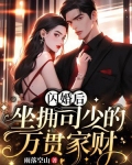 闪婚后，坐拥司少的万贯家财