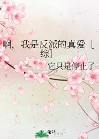 啊，我是反派的真爱［综］