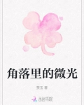 角落里的微光800字议论文