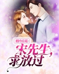 婚内有诡:宋先生,求放过