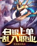 白银上单,乱入职业