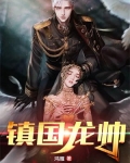 镇国龙帅