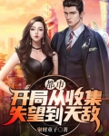 都市：开局从收集失望到无敌
