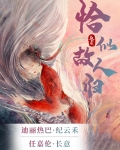 驭鲛记(恰似故人归原著)