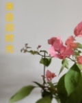 来自旧时光的你