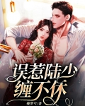 误惹陆少缠不休