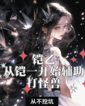 铠乙：从铠一开始辅助打怪兽