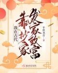 我在古代靠抄家发家致富