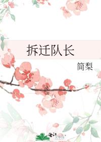 拆迁队长