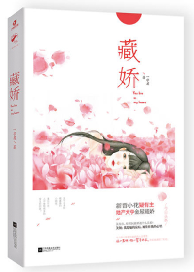 心机灰姑娘