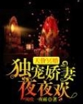 天价冥婚:独宠娇妻夜夜欢