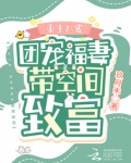 重生八零:团宠福妻带空间致富
