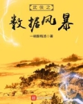 武侠之数据风暴