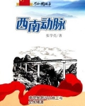 西南动脉：南昆铁路设计施工与全线铺通