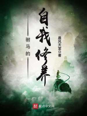 驸马的原则